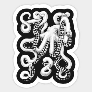 Octopus Sticker